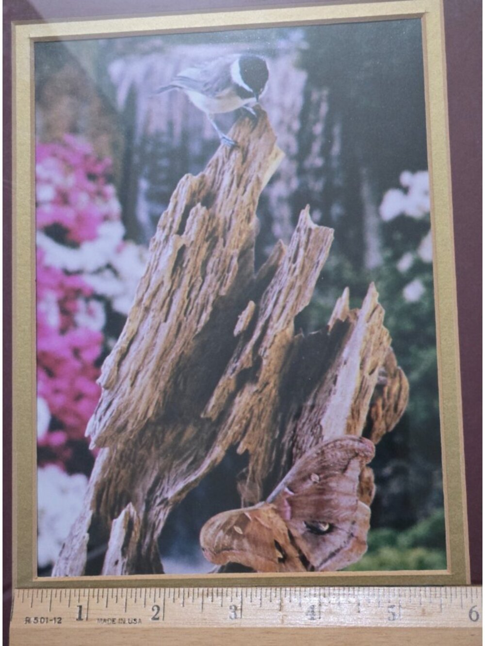 Gold Framed Chickadee Floral Butterfly Photo Print Grandma Country Cottage - Picture 5 of 10